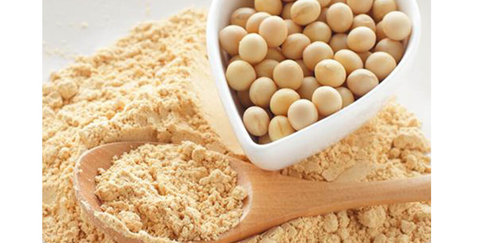 Is Soy Protein Concentrate Good For Your Health?